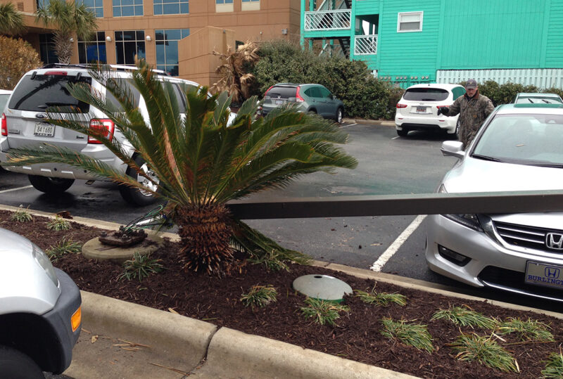 Light Pole Repair Southern Lighting Services